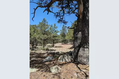 3729 Enchanted Way, Crestone, CO 81131 - Photo 12