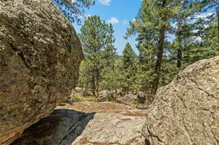 7390 Monica Ln, Evergreen, CO 80439 - Photo 42