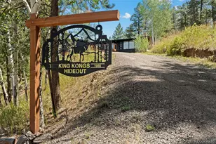 7390 Monica Ln, Evergreen, CO 80439 - Photo 46