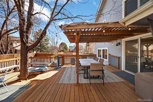 8764 Wildrose Ct, Highlands Ranch, CO 80126 - Photo 42
