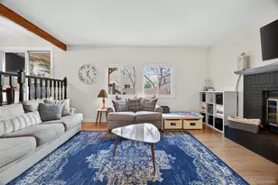 8764 Wildrose Ct, Highlands Ranch, CO 80126 - Photo 10