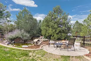 5475 Grand Fir Way, Parker, CO 80134 - Photo 48