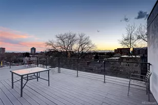 636 N Washington St, Denver, CO 80203 - Photo 24