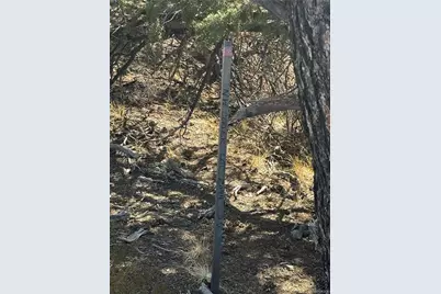 Lots 2045-2047 Pfotenhaur Road, Fort Garland, CO 81133 - Photo 8