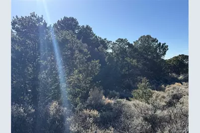 Lots 2045-2047 Pfotenhaur Road, Fort Garland, CO 81133 - Photo 12