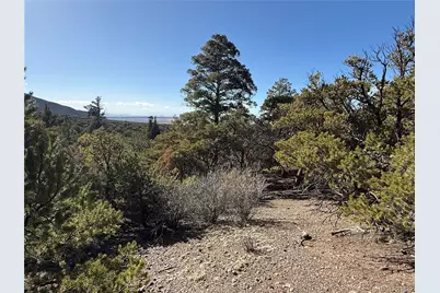 Lots 2045-2047 Pfotenhaur Road, Fort Garland, CO 81133 - Photo 6