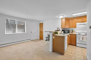 336 N Grant St, Denver, CO 80203 - Photo 14