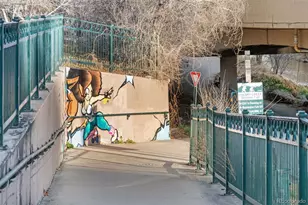 336 N Grant St, Denver, CO 80203 - Photo 42