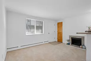336 N Grant St, Denver, CO 80203 - Photo 12