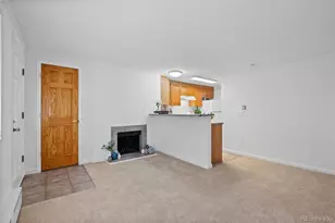 336 N Grant St, Denver, CO 80203 - Photo 10