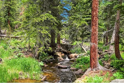 353 Brook Drive, Idaho Springs, CO 80452 - Photo 6