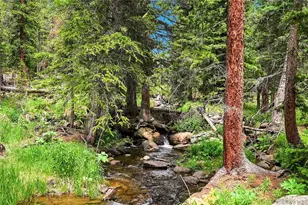 353 Brook Dr, Idaho Springs, CO 80452 - Photo 6
