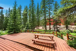 353 Brook Dr, Idaho Springs, CO 80452 - Photo 4