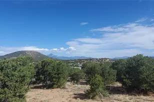 930 Bateman Rd, Fort Garland, CO 81133 - Photo 12