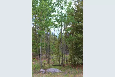 Glacier Ridge Road, Alma, CO 80420 - Photo 4