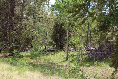 Glacier Ridge Road, Alma, CO 80420 - Photo 8