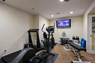 1021 Neptunite Pl, Castle Rock, CO 80108 - Photo 22
