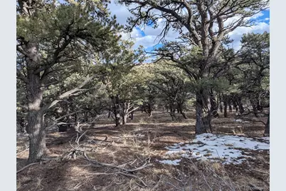 7831 Mallott Road, Fort Garland, CO 81133 - Photo 12