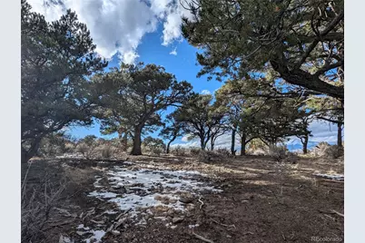 7831 Mallott Road, Fort Garland, CO 81133 - Photo 14