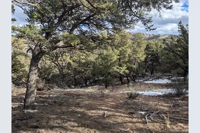 7831 Mallott Road, Fort Garland, CO 81133 - Photo 1