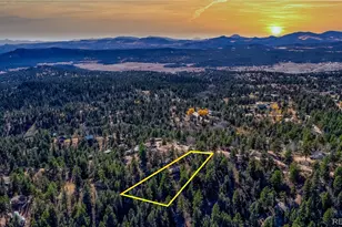 74 Quandry Cir, Florissant, CO 80816 - Photo 1