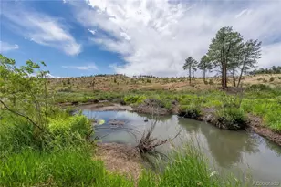 15970 Willow Way, Woodland Park, CO 80863 - Photo 34