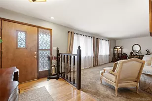 6323 Pike Cir, Larkspur, CO 80118 - Photo 38