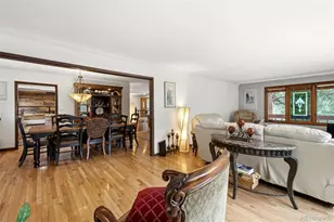 6323 Pike Cir, Larkspur, CO 80118 - Photo 20