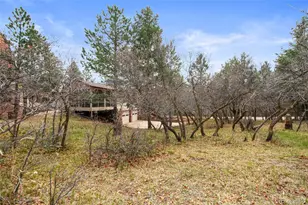 6323 Pike Cir, Larkspur, CO 80118 - Photo 42