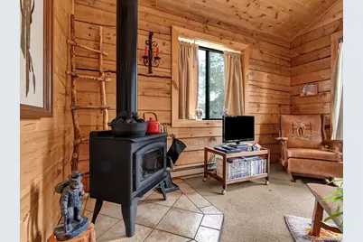 1462 Pulver Road, Lake George, CO 80827 - Photo 8
