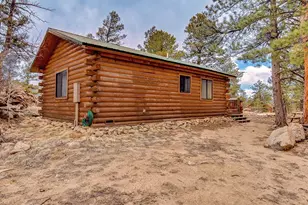 1462 Pulver Rd, Lake George, CO 80827 - Photo 4
