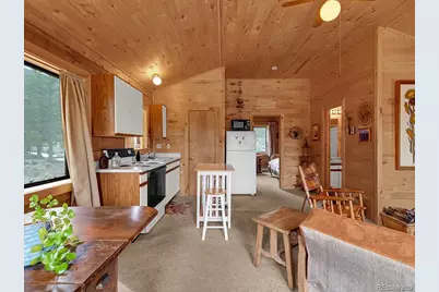 1462 Pulver Road, Lake George, CO 80827 - Photo 6