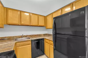 1366 Garfield St, Denver, CO 80206 - Photo 8