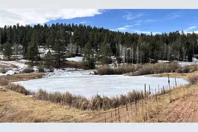 12447 S Danny Avenue, Pine, CO 80470 - Photo 26