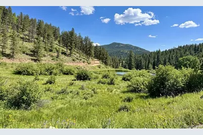 12447 S Danny Avenue, Pine, CO 80470 - Photo 28