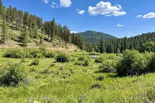 12447 S Danny Ave, Pine, CO 80470 - Photo 28