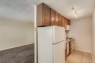 1045 N Pennsylvania Street, Denver, CO 80203 - Photo 6