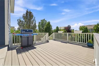 293 Calhoun Circle, Castle Rock, CO 80104 - Photo 30