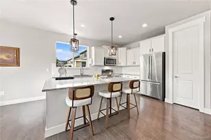 293 Calhoun Cir, Castle Rock, CO 80104 - Photo 8