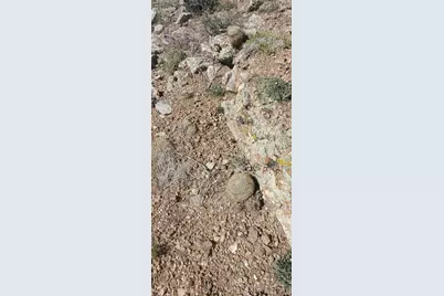 Lot 5820 Covington Road, Fort Garland, CO 81133 - Photo 8