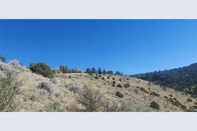 Lot 5820 Covington Road, Fort Garland, CO 81133 - Photo 4