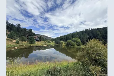 173 Wisp Creek Drive, Bailey, CO 80421 - Photo 44