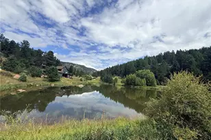 173 Wisp Creek Dr, Bailey, CO 80421 - Photo 44