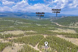 20 Paint Brush Dr, Black Hawk, CO 80422 - Photo 30