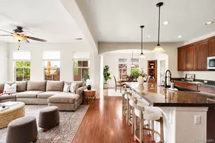 9354 Sori Ln, Littleton, CO 80126 - Photo 8