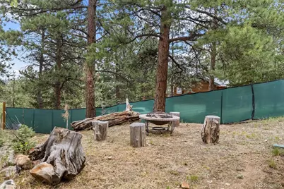 41 Yew Lane, Bailey, CO 80421 - Photo 36