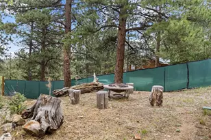 41 Yew Ln, Bailey, CO 80421 - Photo 36