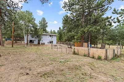 41 Yew Lane, Bailey, CO 80421 - Photo 30