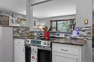 41 Yew Ln, Bailey, CO 80421 - Photo 10