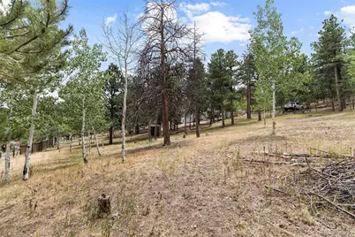 41 Yew Lane, Bailey, CO 80421 - Photo 32